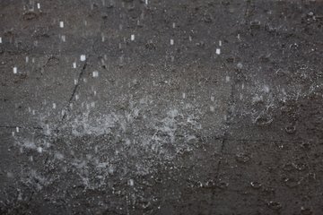 Bild 411 - Tag1